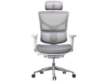Ergonimiczny Fotel  ERGOFLY SAIL Alum G T-06 White