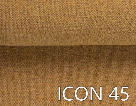 ICON 45