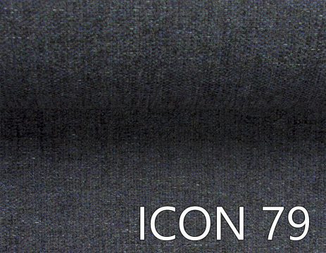 ICON 79