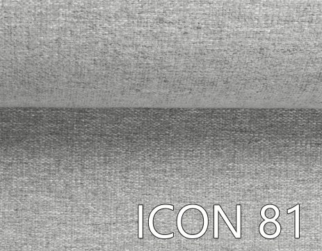 ICON 81