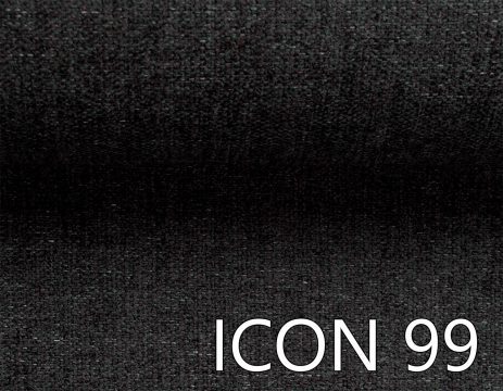 ICON 99