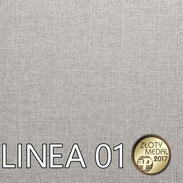 LINEA 01