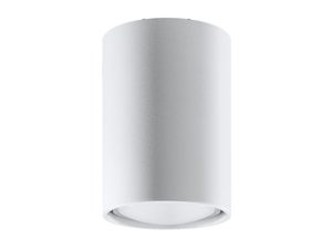 Miniaturka 38 - Tuba LED sufitowa biała z kierunkowym światłem
