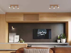 Miniaturka 4 - Drewniane reflektory LED w salonie z telewizorem na ścianie