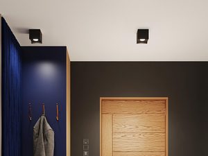 Miniaturka 12 - Drewniany przedpokój z granatowym panelem i oświetleniem punktowym