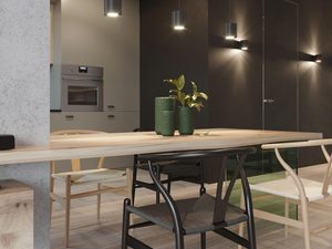 Miniaturka 3 - Kuchnia z zielonym sufitem i oświetleniem LED w czarnych kloszach