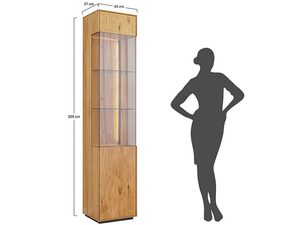 Miniaturka 8 - Nowoczesna witryna dębowa z przeszklonymi drzwiami