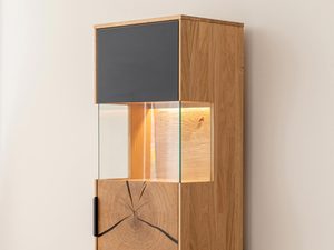 Miniaturka 4 - Witryna z przeszklonymi drzwiami i podświetleniem LED