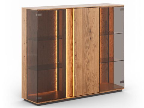 Nowoczesna witryna z oświetleniem LED i szklanymi drzwiami