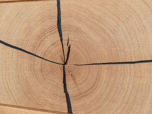Miniaturka 11 - Detal sęków w litej desce dębowej