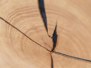 Miniaturka 12 - Detal sęków w litej desce dębowej