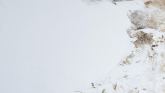 Miniaturka 2 - Marmur biały z beżowymi żyłkami – detal dekoracyjny blatu stołu