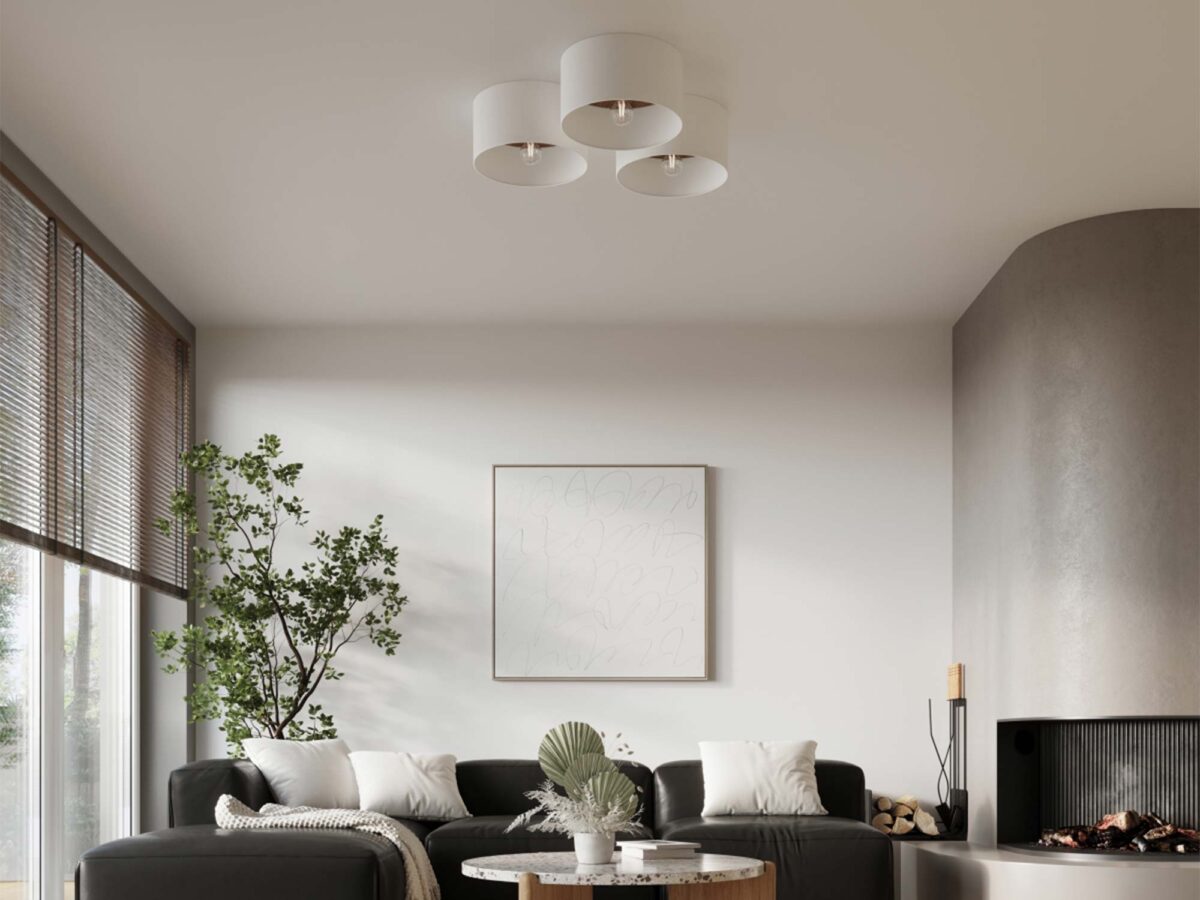 Minimalistyczny salon z kominkiem w stylu japandi