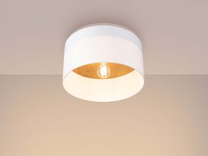 Miniaturka 2 - Plafon biały z ciepłym światłem żarówki i drewnianym wykończeniem