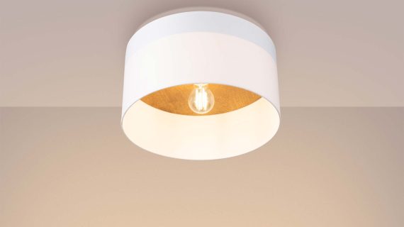 Miniaturka 2 - Plafon TELOS biały/jasny brąz