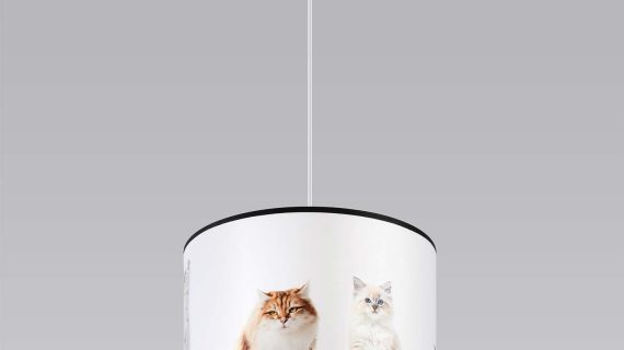 Miniaturka 1 - Lampa wisząca KITYA 30