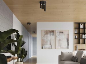 Miniaturka 9 - Czarne plafony sufitowe w aranżacji nowoczesnego salonu