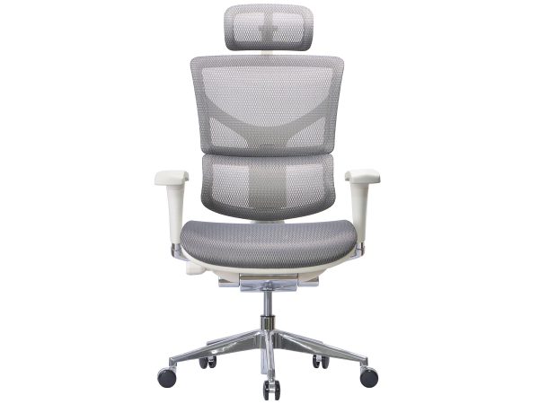 Ergonimiczny Fotel ERGOFLY SAIL Alum G T-06 White