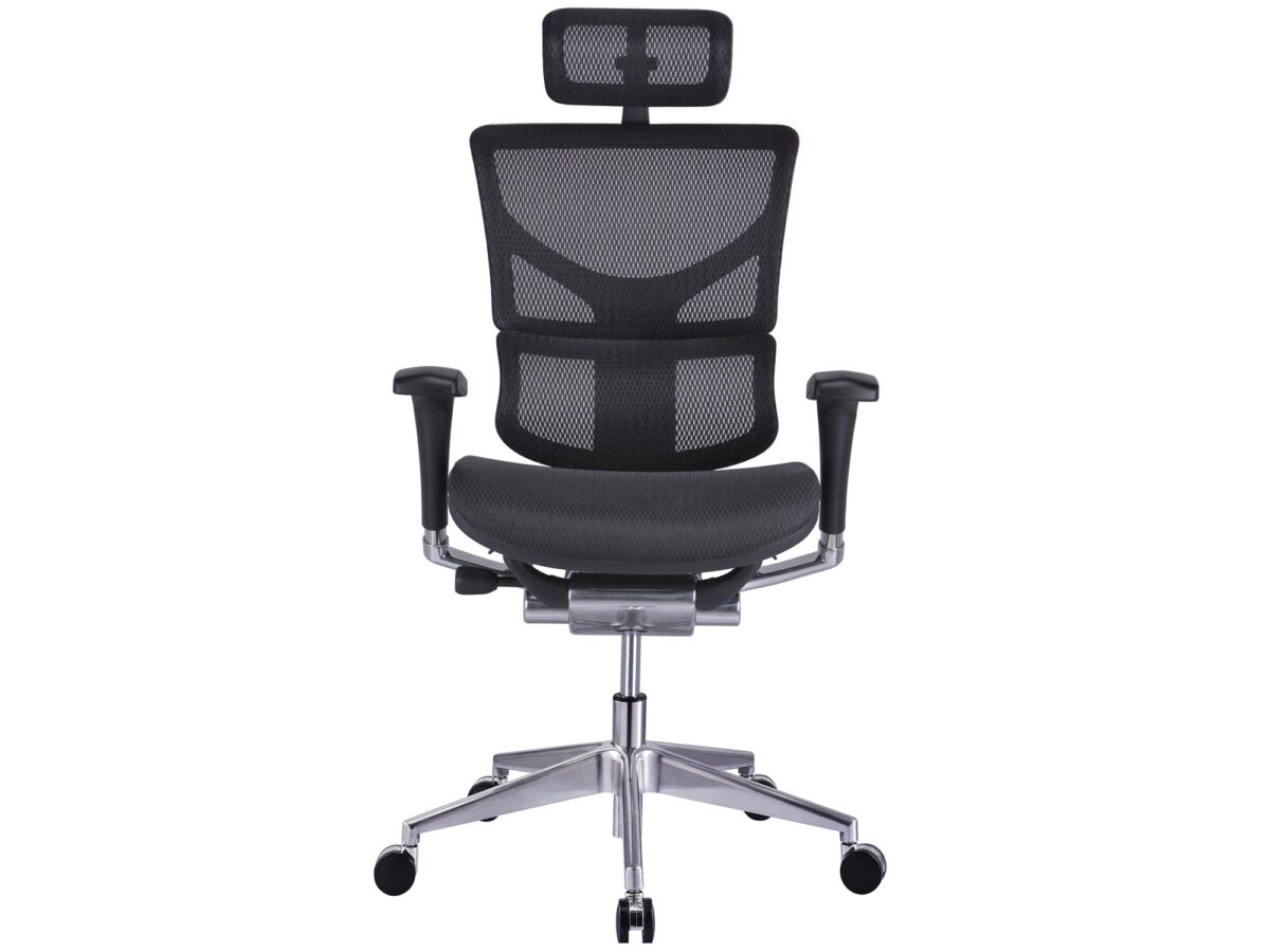 Ergonimiczny Fotel  ERGOFLY SAIL Alum T-01 Black