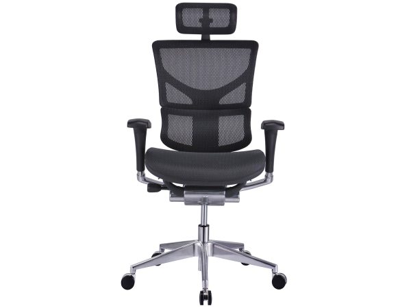 Ergonimiczny Fotel ERGOFLY SAIL Alum T-01 Black