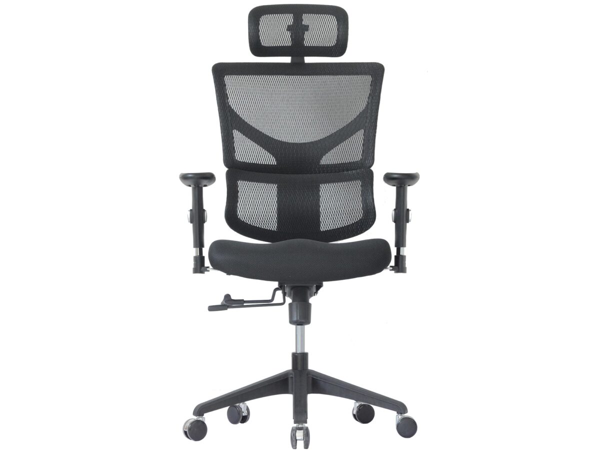 Ergonimiczny Fotel ERGOFLY SAIL-E T-01 Black