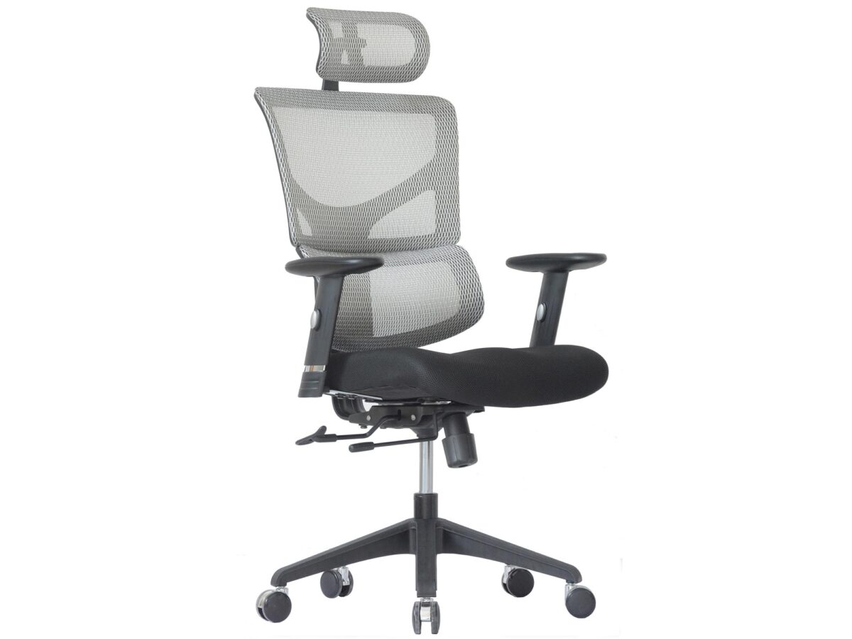 Ergonomiczny Fotel ERGOFLY SAIL-E T-06 White
