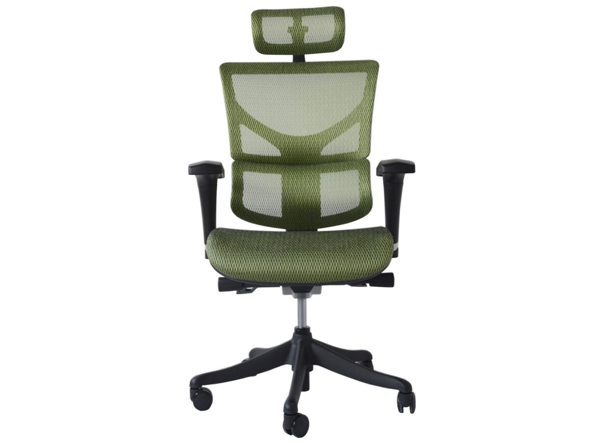 Ergonomiczny Fotel ERGOFLY SAIL T-05 Green