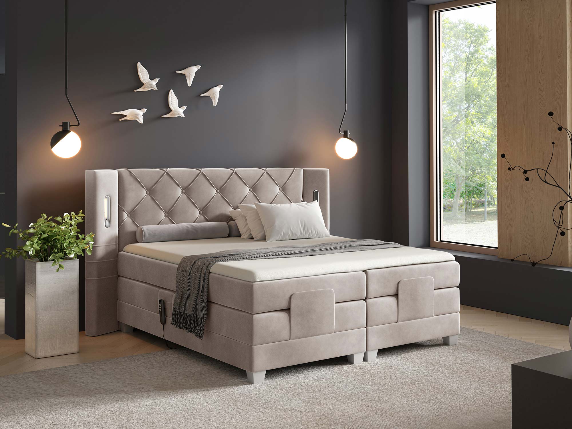 Focus-elektryk--Fresh-1