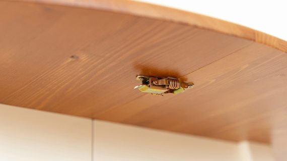 Miniaturka 12 - Praktyczny klasyczny sosnowy stół Ingrid