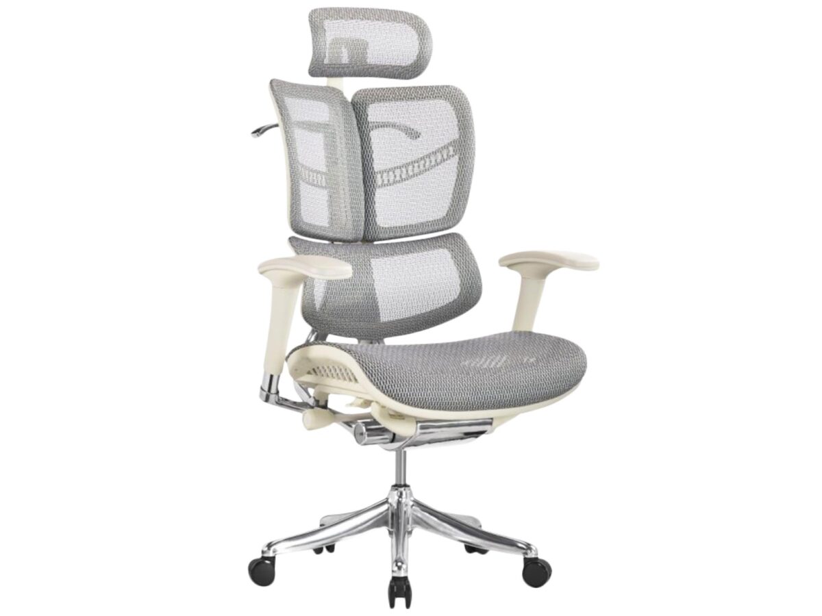 Ergonomiczny Fotel ERGOFLY FLY G T-06 White