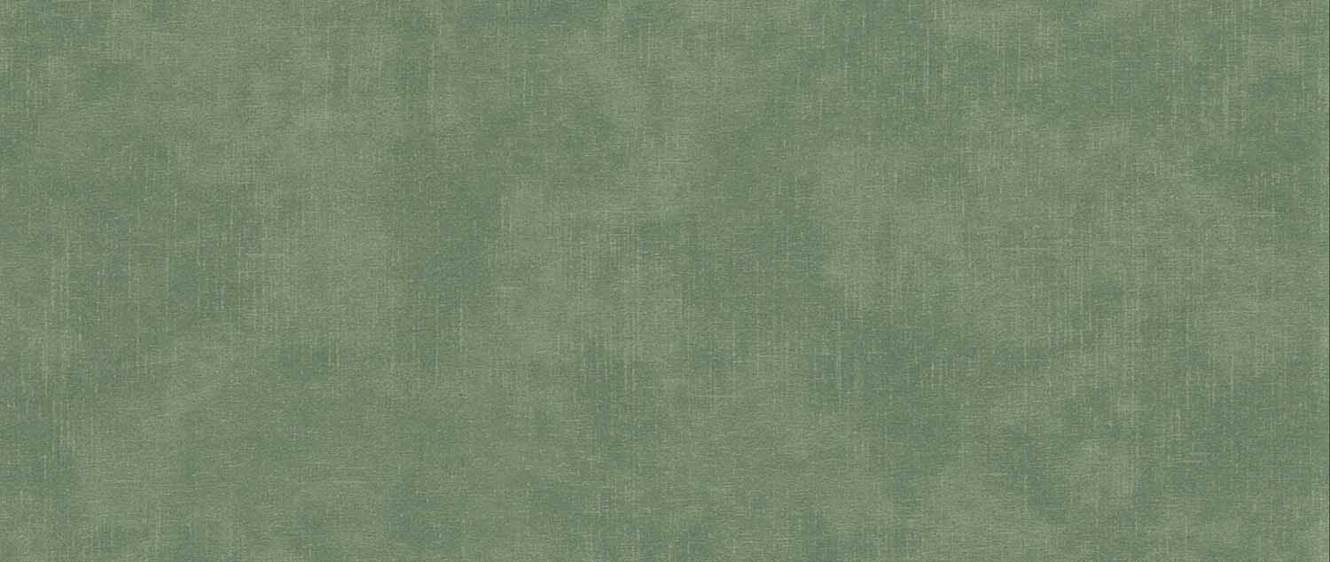 TERRA 33