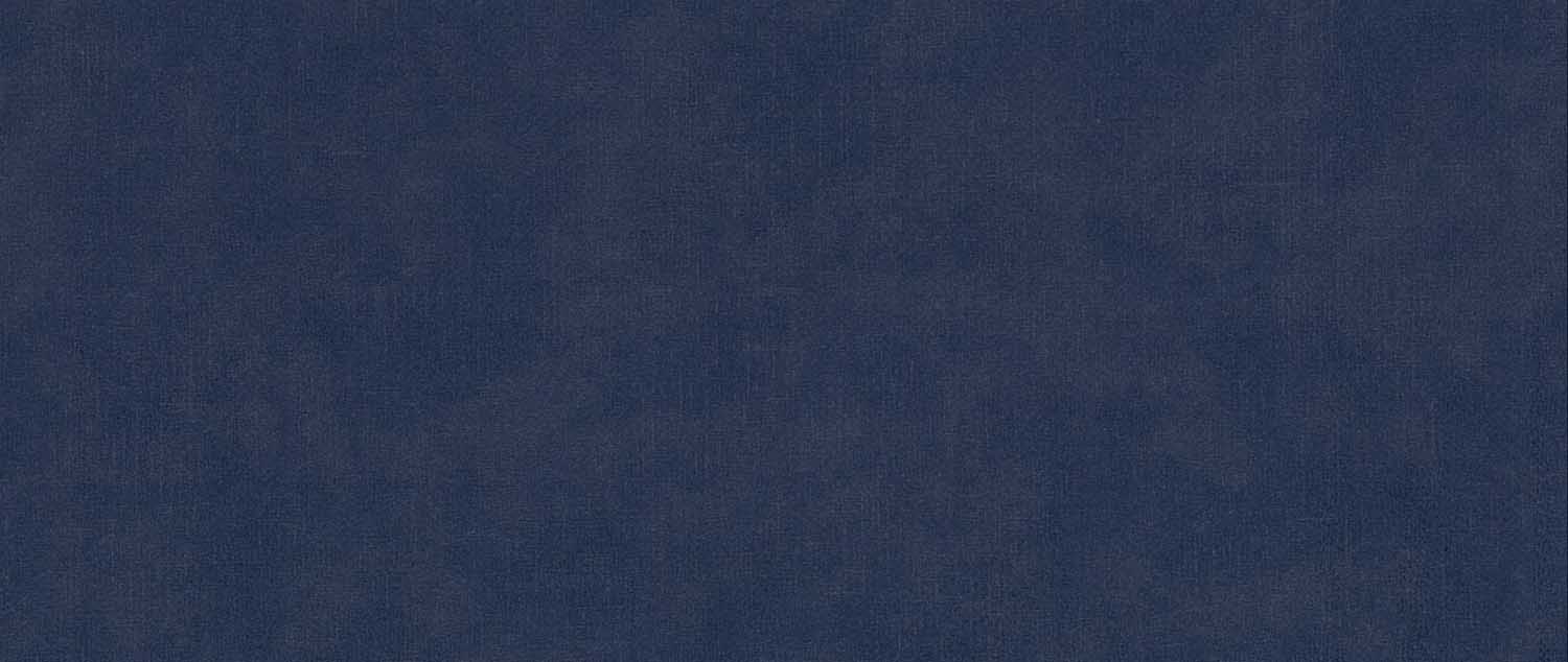TERRA 76