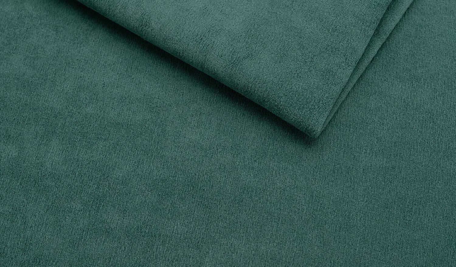 CAMELIA 4504