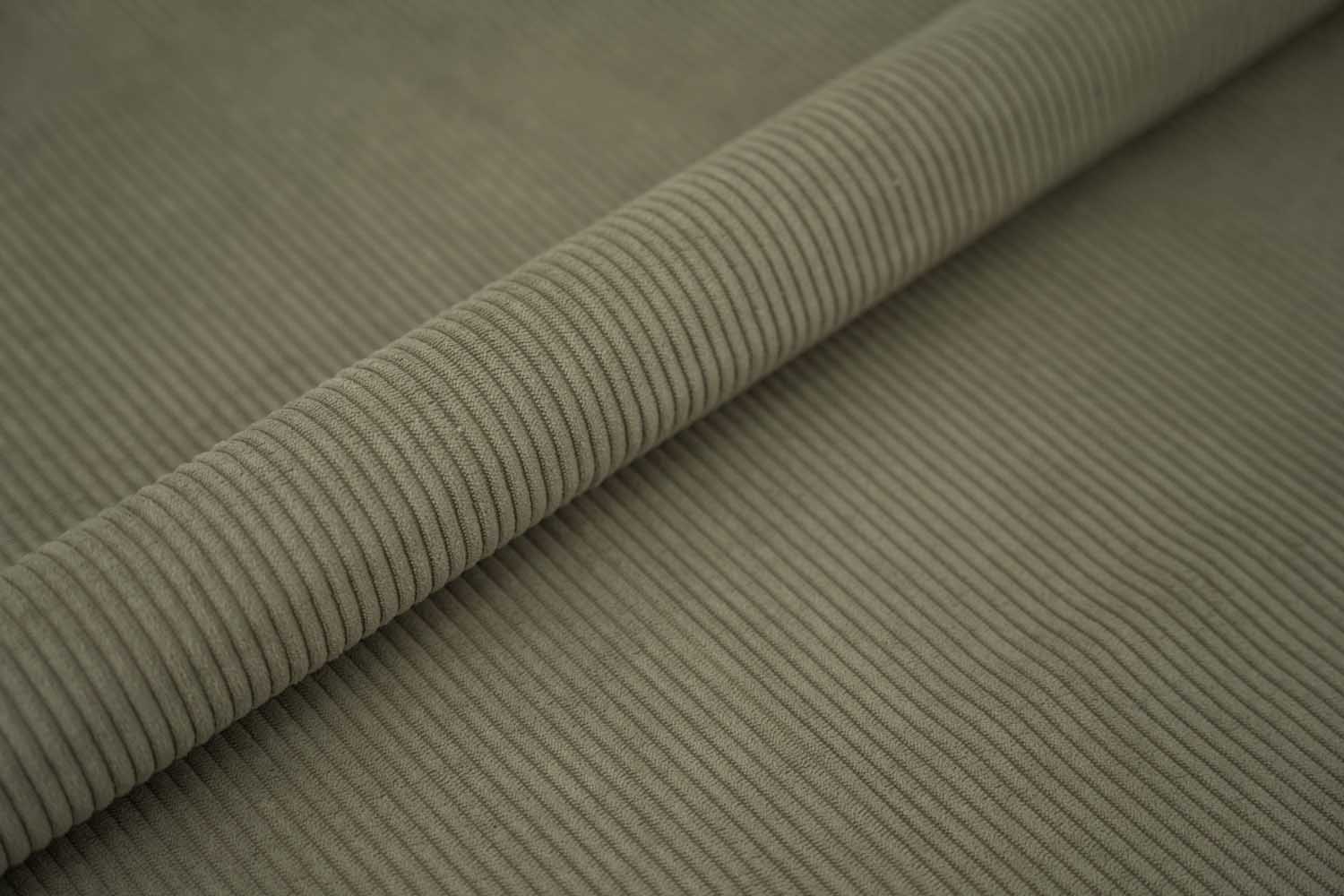 CORD-205.19-2