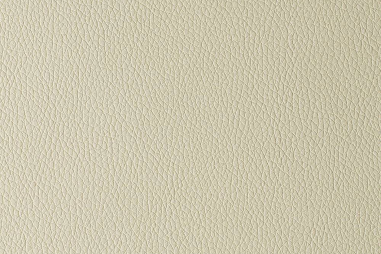 ARIZONA BEIGEBUTTERFLY