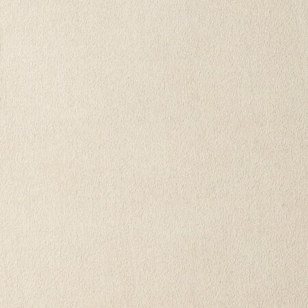 ROYAL SUEDE LIGHTBEIGE