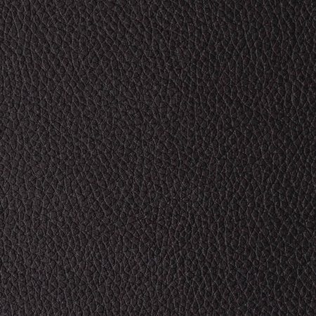 PACIFICO TESTA DI MORO