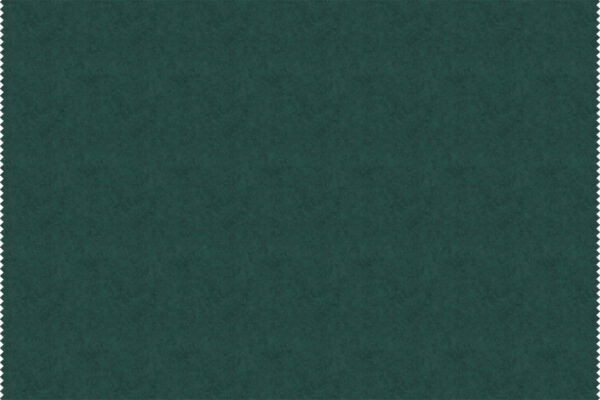 BISON 146
