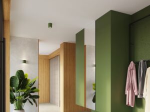 Miniaturka 7 - Betonowy plafon Norevia zielony oliwkowy oliwkowy w aranżacji przedpokoju