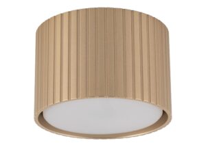 Miniaturka 2 - Szampański spot Ferro Downlight GX53 na białym tle