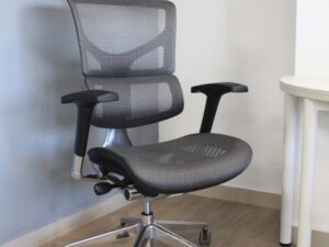 Miniaturka 1 - Fotel ergonomiczny ERGOFLY SAIL Alum szary ujęcie 2
