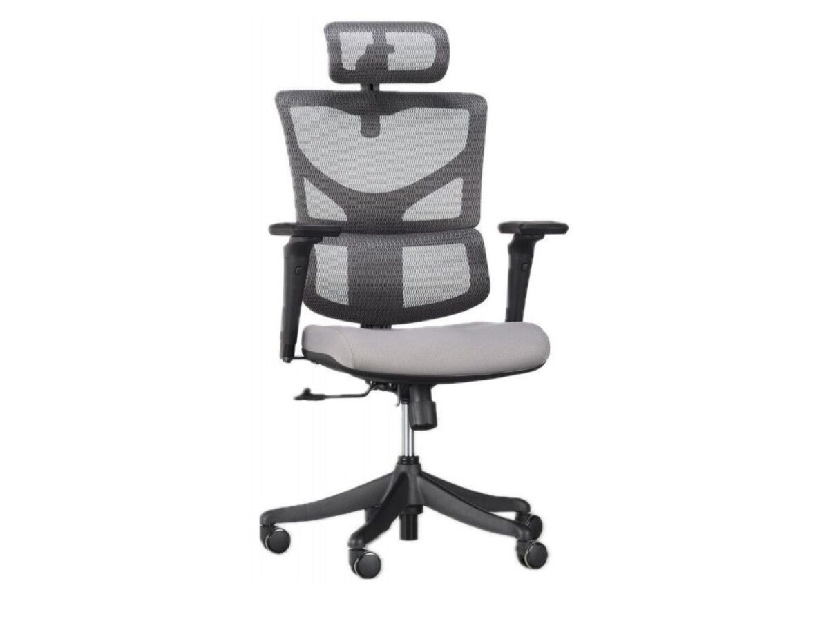 Fotel ergonomiczny ERGOFLY SAIL-E Pro szary
