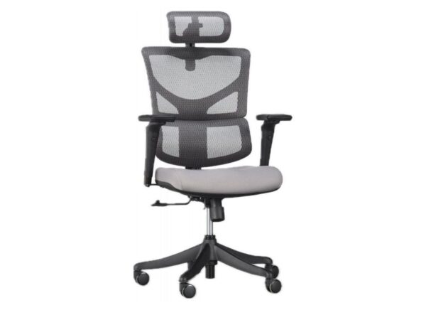 Fotel ergonomiczny ERGOFLY SAIL-E Pro szary na białym tle