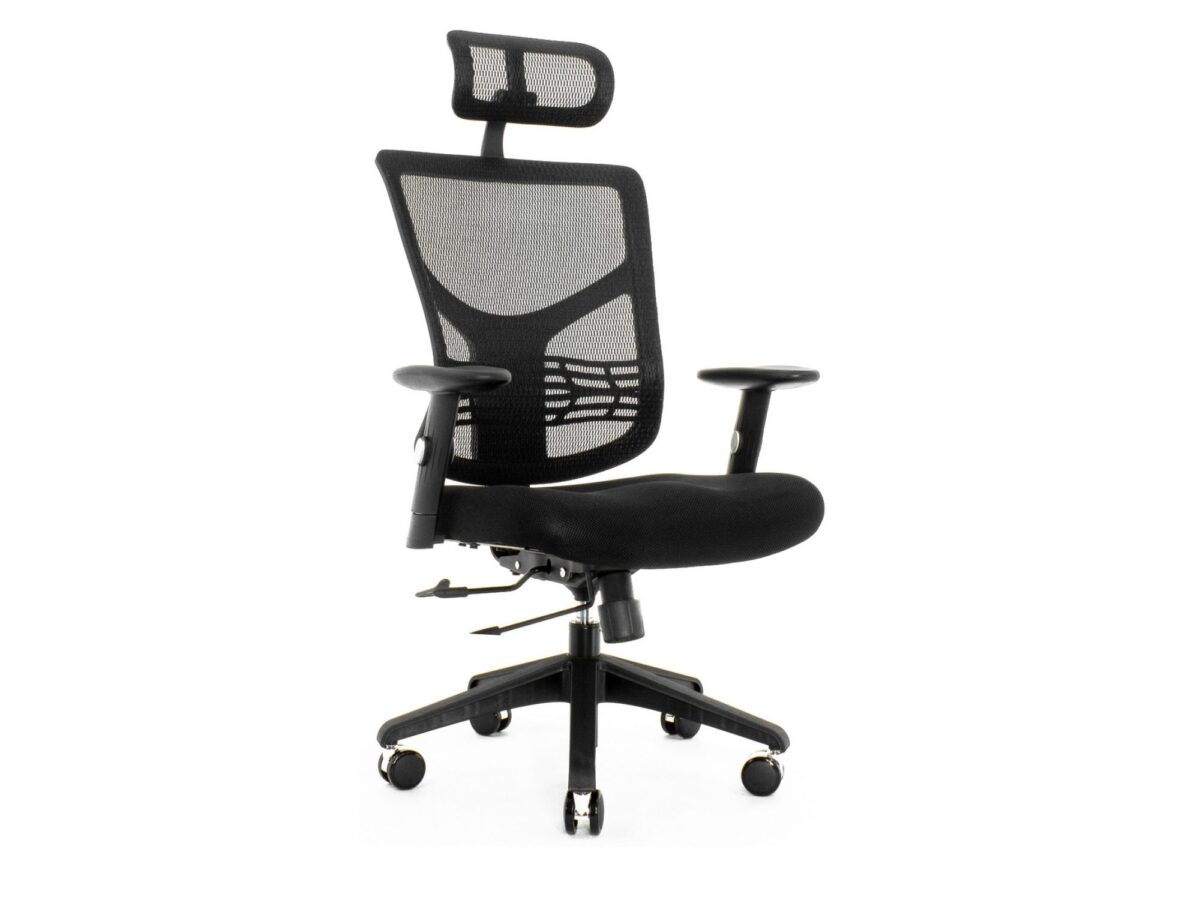 Fotel ergonomiczny ERGOFLY STAR-E czarny