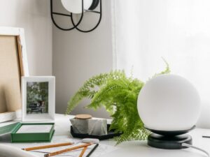 Miniaturka 5 - Kinkiet KUGLO C czarny obok okna i zielonych roślin
