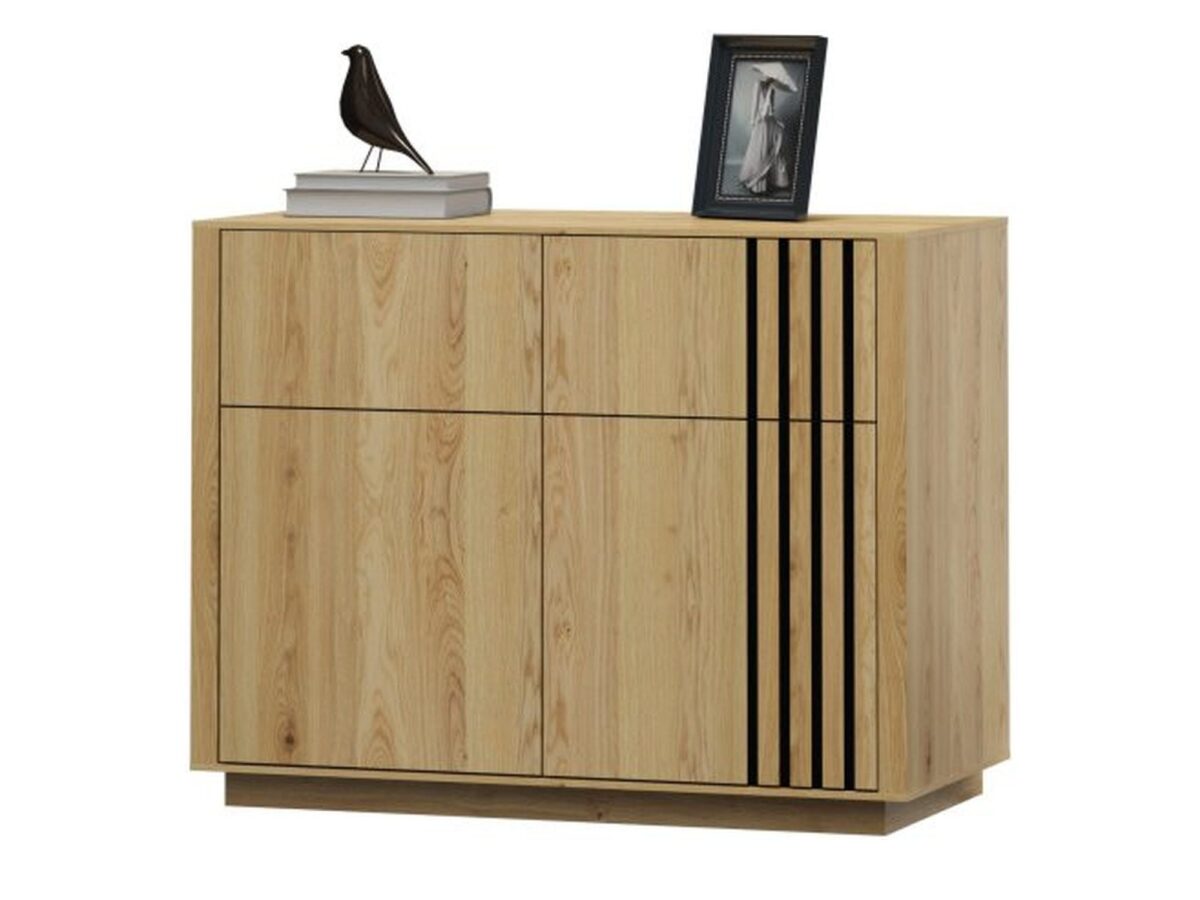 Komoda dwudrzwiowa z 2 szufladami Dorello 100 cm