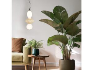 Miniaturka 2 - Lampa Aledela 18 W zawieszona obok stolika i zielonej rośliny w salonie