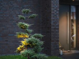 Miniaturka 1 - Lampa ogrodowa Cubix 1 podświetlająca niewielkie drzewo przed ceglaną elewacją