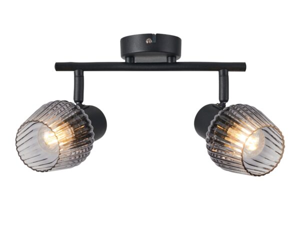 Lampa sufitowa Avitena z dwoma szklanymi przydymionymi kloszami i czarną listwą