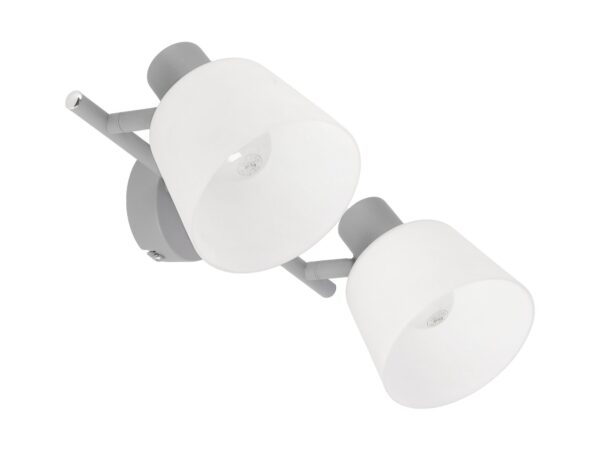 Lampa sufitowa Lumasona szara z dwoma białymi szklanymi kloszami E14